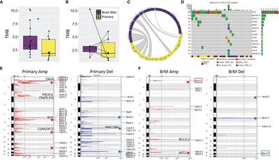 Comprehensive Analysis of the Immunogenomics of Triple-Negative Breast Cancer Brain Metastases From LCCC1419